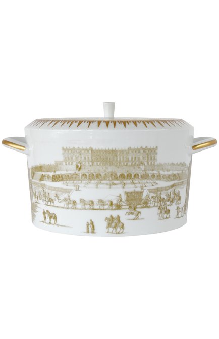 Супница versailles enchante BERNARDAUD золотого цвета, арт. 2050/147 | Фото 1 (Региональные ограничения белый список (Axapta Mercury): Не проставлено; Нос: Не проставлено)