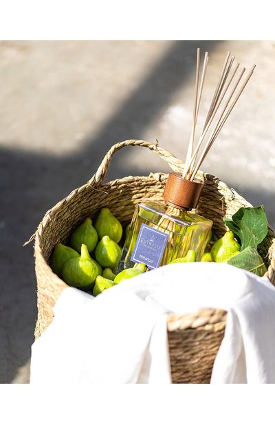 Диффузор ficus apuliae (1000ml) EUTHALIA FRAGRANCES, арт. 4603336950283, фото 3