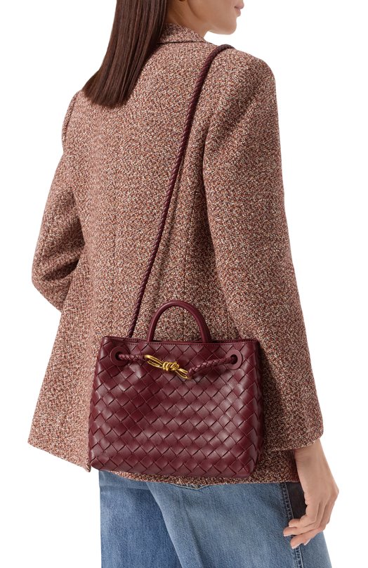 Сумка Andiamo small Bottega Veneta 766014/VCPP1 Бордовый  766014/VCPP1 Фото 2