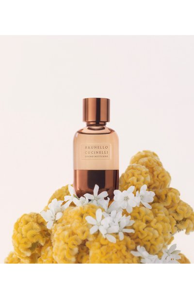 Духи sogno notturno (100ml) BRUNELLO CUCINELLI, арт. 8011003898718, фото 5