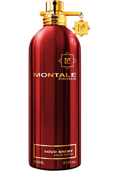 Парфюмерная вода aoud shiny (100ml) MONTALE, арт. 3760260451130, фото 1