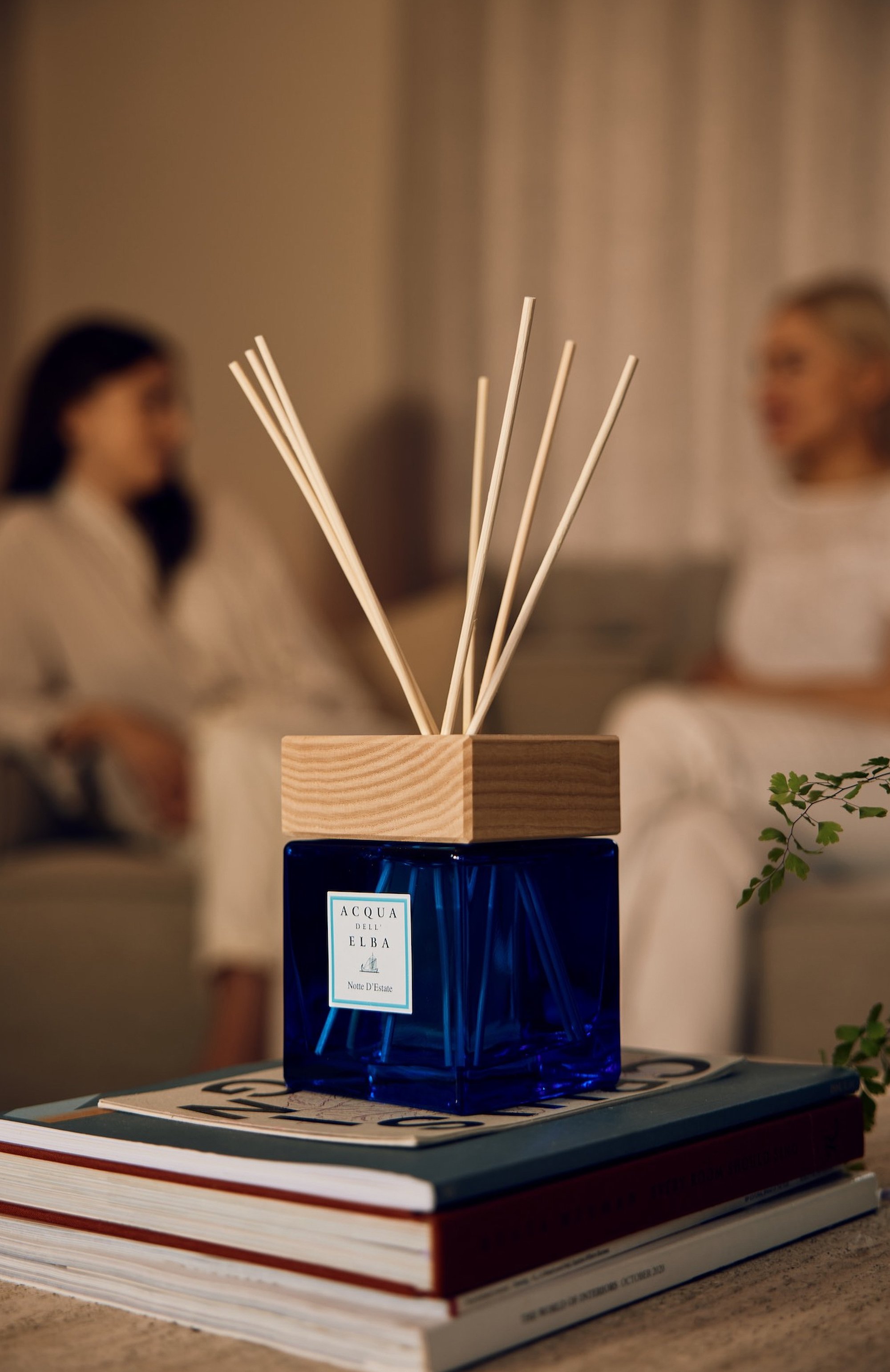 Диффузор notte d'estate (500ml) ACQUA DELL ELBA, арт. 8032758536618, фото 3