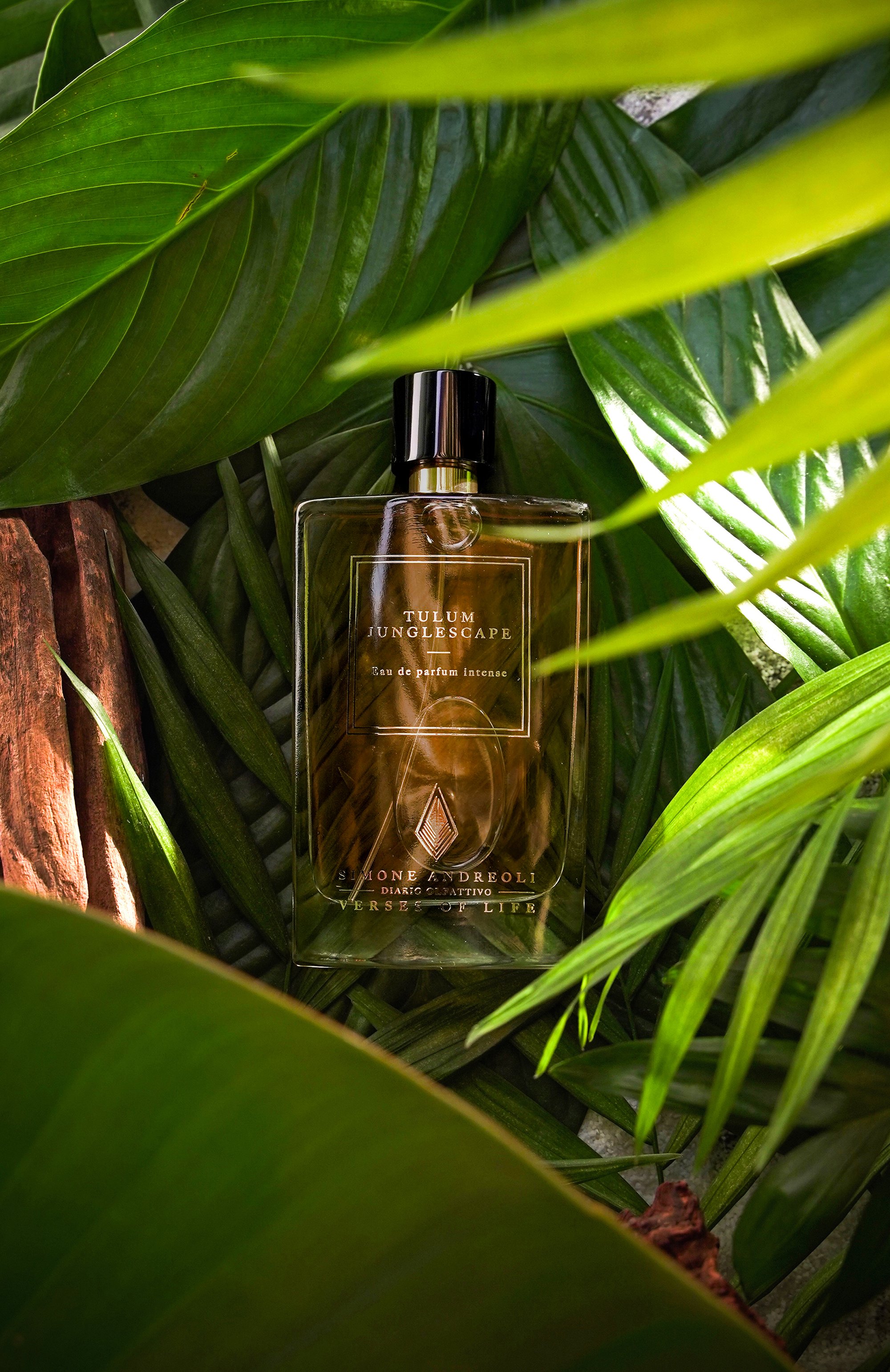 Парфюмерная вода tulum jungleescape (100ml) SIMONE ANDREOLI, арт. 8055681293311, фото 5