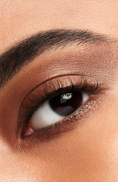 Моно-тени для век powder gel, 5 zoku-zoku brown SHISEIDO, арт. 17709SH, фото 5