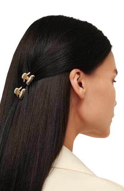 Набор из двух заколок для волос ALEXANDRE DE PARIS, арт. ICCXS-14338-04P22 I, фото 2