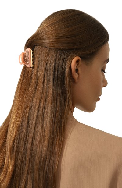 Заколка для волос ALEXANDRE DE PARIS, арт. ICC45-14339-04P23 OS, фото 2