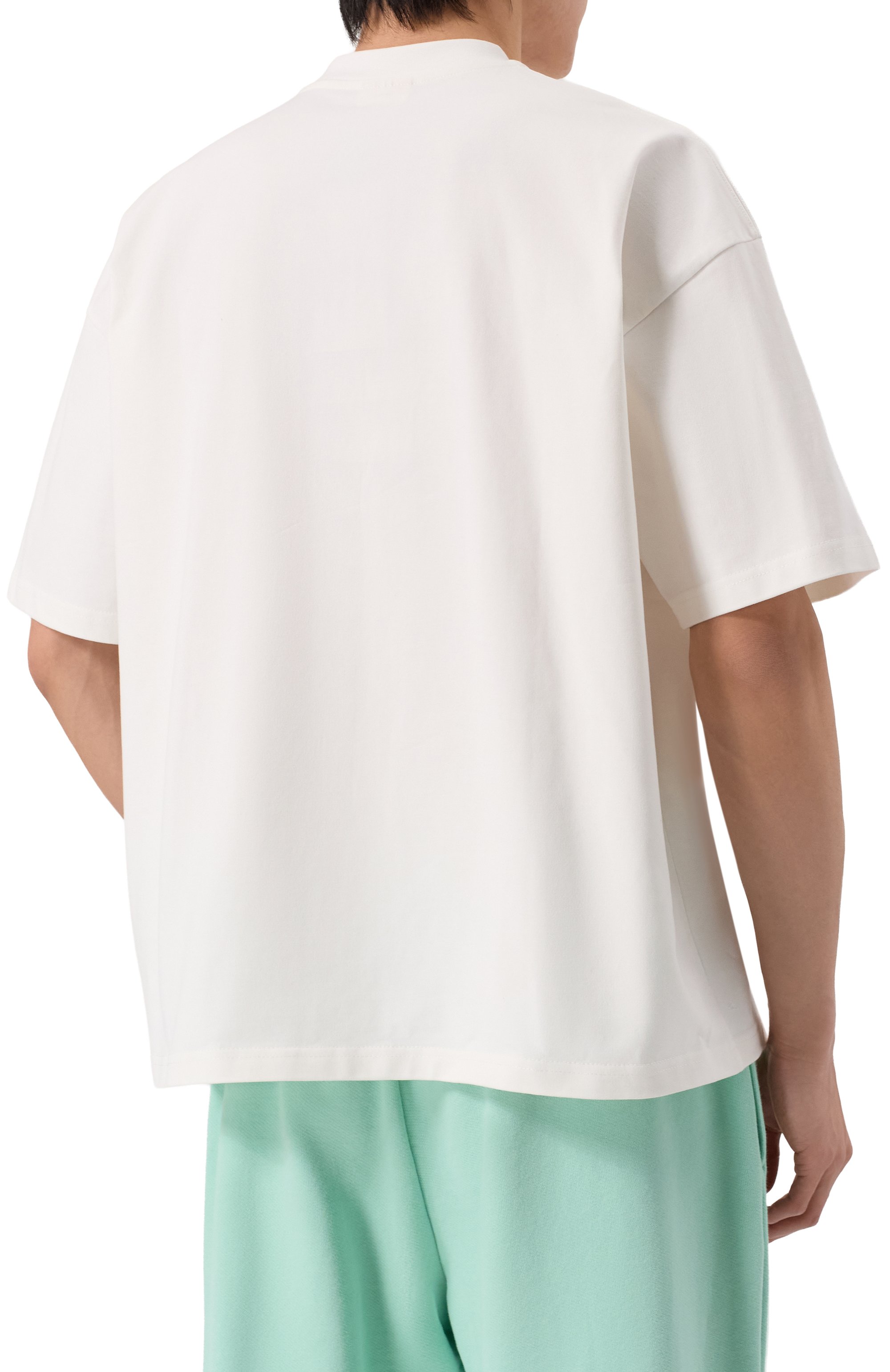 Хлопковая футболка PLANTA ROSA, арт. PR/T02/ASCEND-GLOW/300VELVET, фото 4