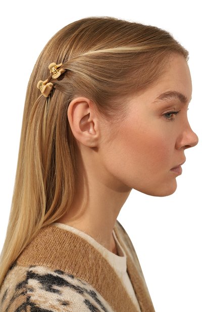 Заколка для волос ALEXANDRE DE PARIS, арт. ICCXS-14338-02A22 OP, фото 2