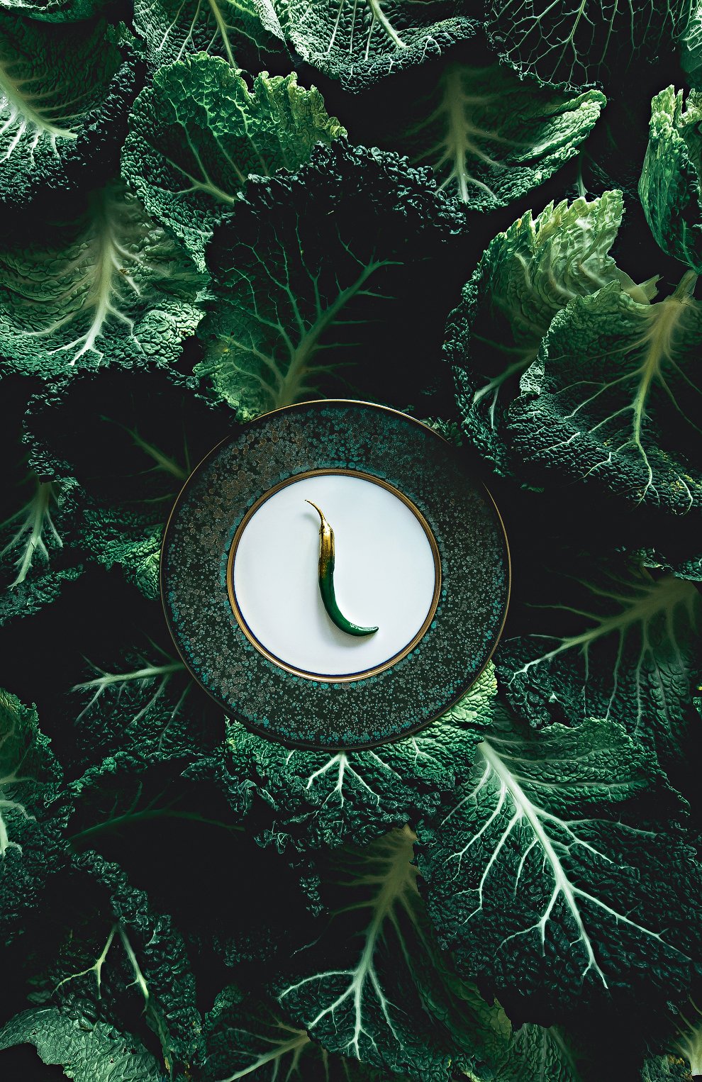 Сервировочная тарелка email BERNARDAUD, арт. 5113/2134, фото 2