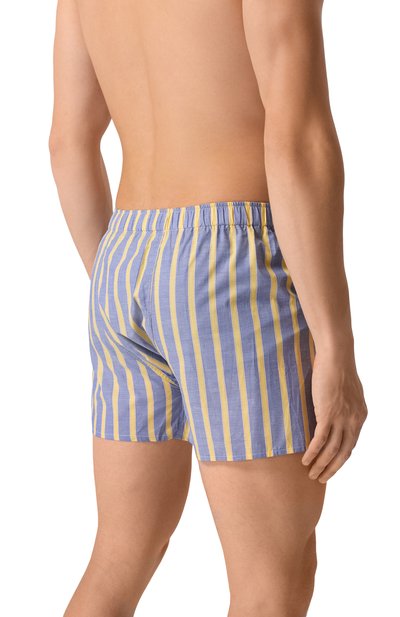 Хлопковые боксеры ROBERTO RICETTI, арт. B0XER DB1/LX34060, фото 3