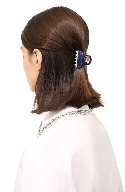 Заколка для волос ALEXANDRE DE PARIS, арт. ICC45-14339-03 M5, фото 2