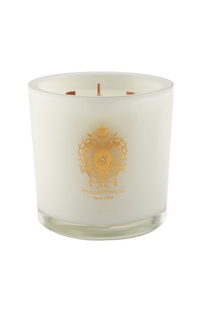 Свеча camino с ароматом духов kirke' (1000g) TIZIANA TERENZI, арт. 8016741422492, фото 2