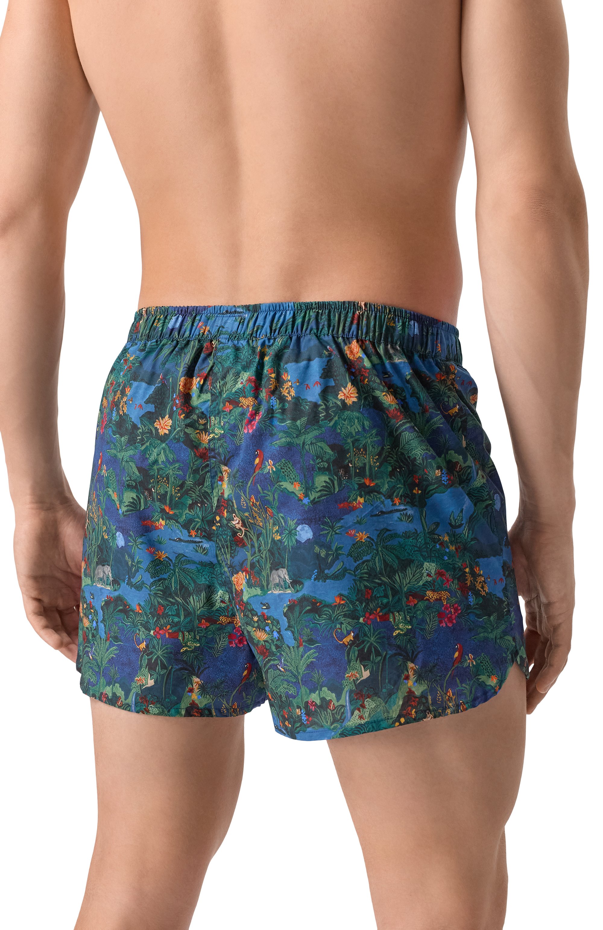 Хлопковые боксеры DEREK ROSE, арт. 6050/LEDB085, фото 3