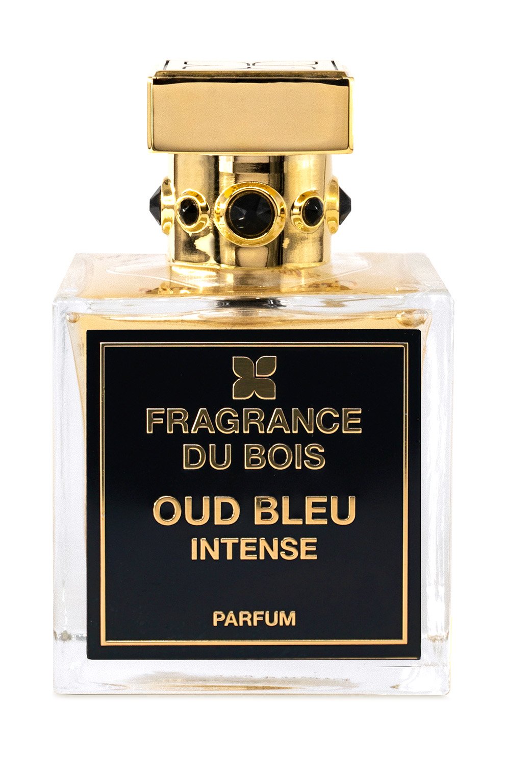 Парфюмерная вода oud bleu intense (100ml) FRAGRANCE DU BOIS, арт. 5081304300992, фото 1