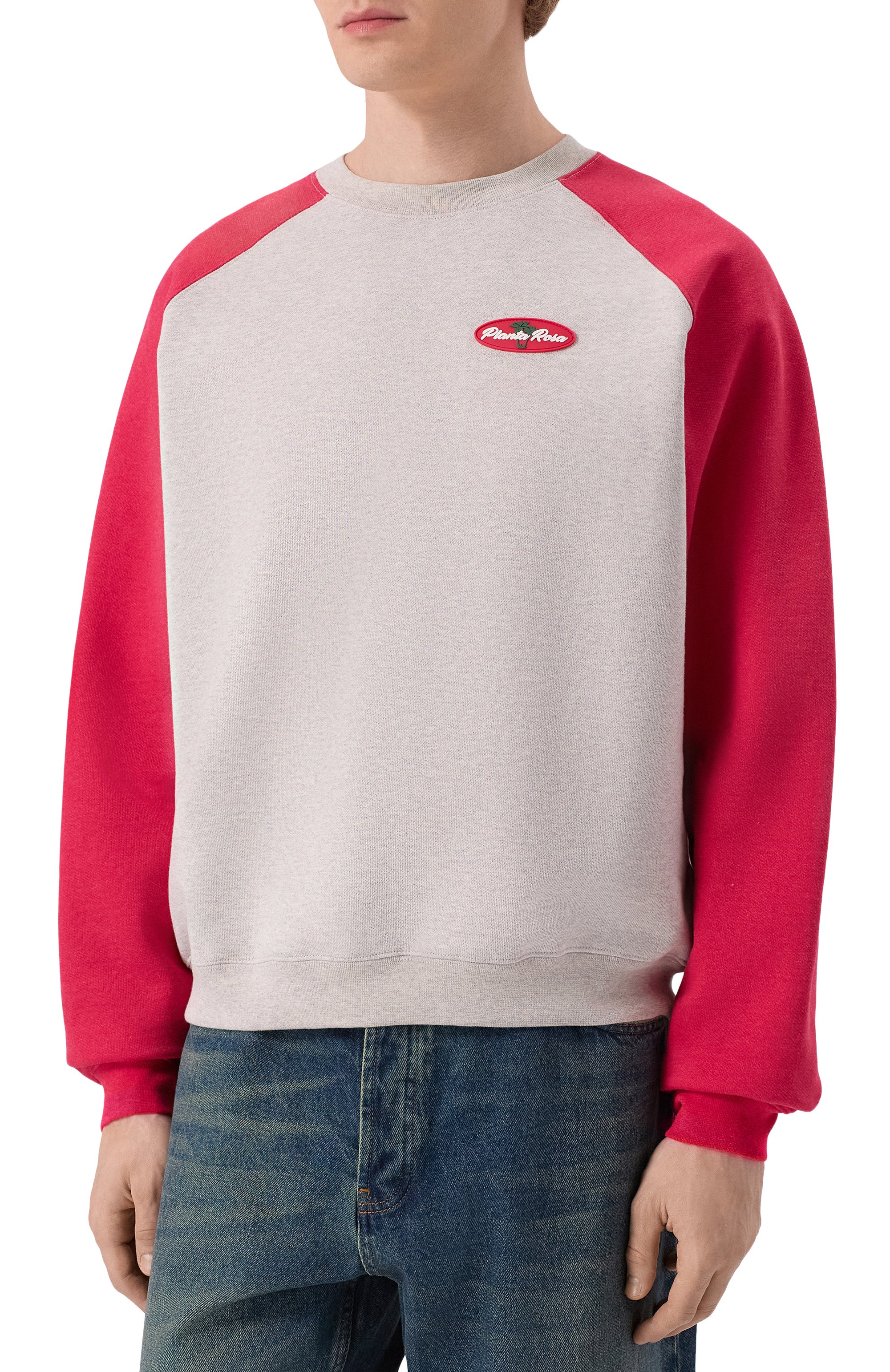 Хлопковый свитшот PLANTA ROSA, арт. PR/SW/PALM/470, фото 3