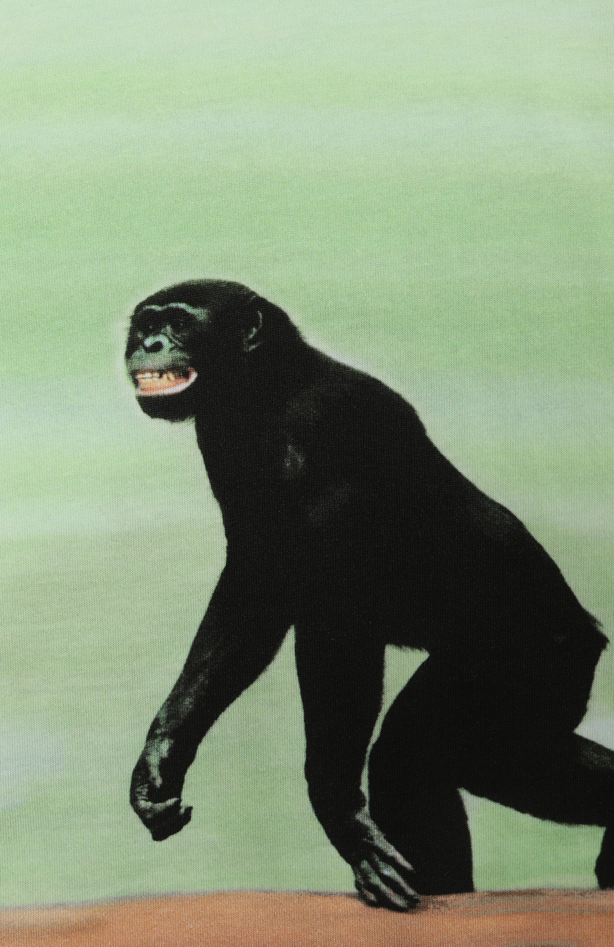 Хлопковая футболка MOSCHINO салатового цвета по цене 17150 руб., арт. HUM057/LAA02/4-8, фото 3 Хлопковая футболка MOSCHINO, арт. HUM057/LAA02/4-8, фото 3