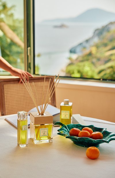 Диффузор casa dei mandarini (200ml) ACQUA DELL ELBA, арт. 8032758531712, фото 4