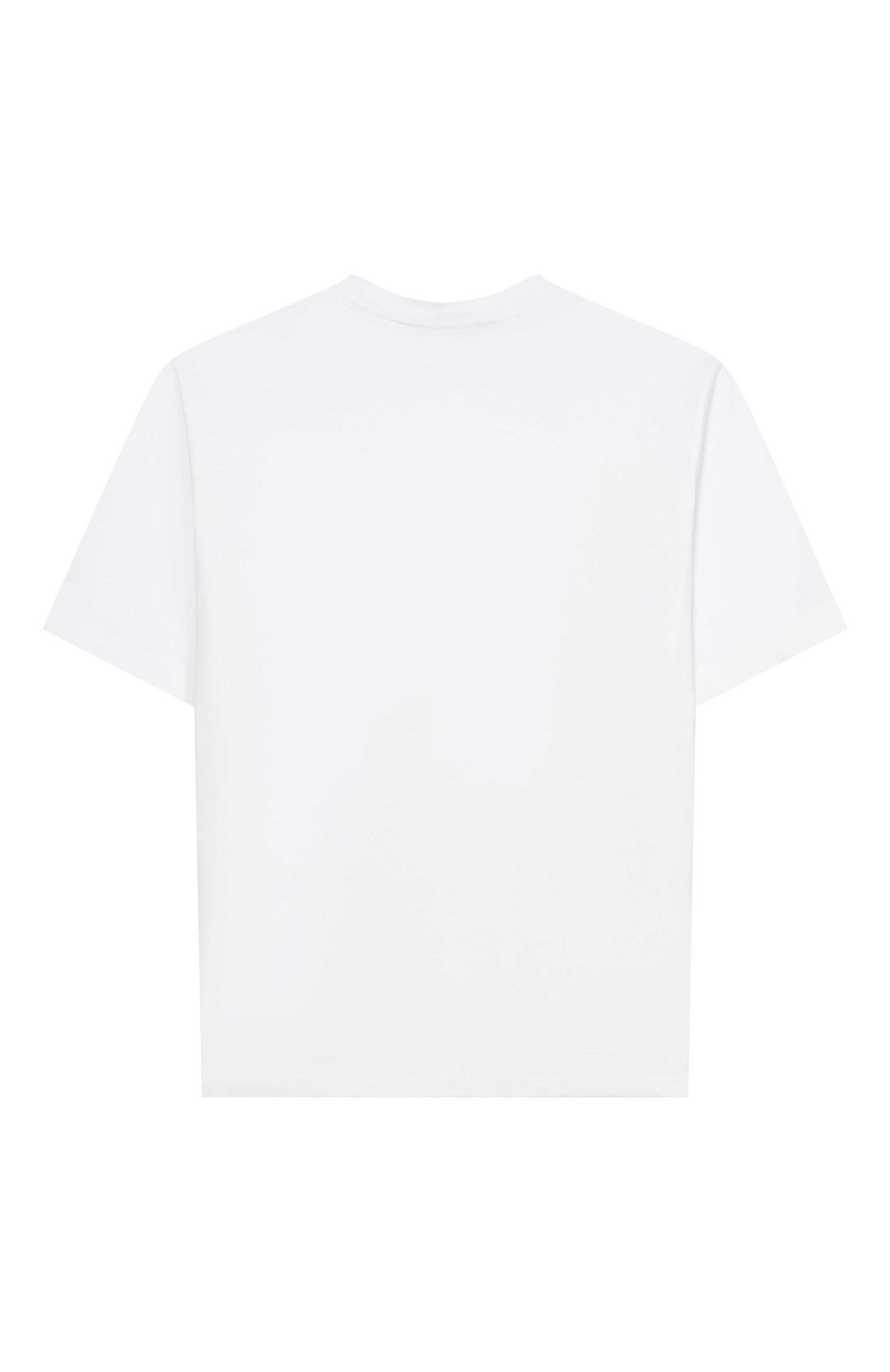 Футболка PAOLO PECORA MILANO, арт. PP4231_001, фото 2