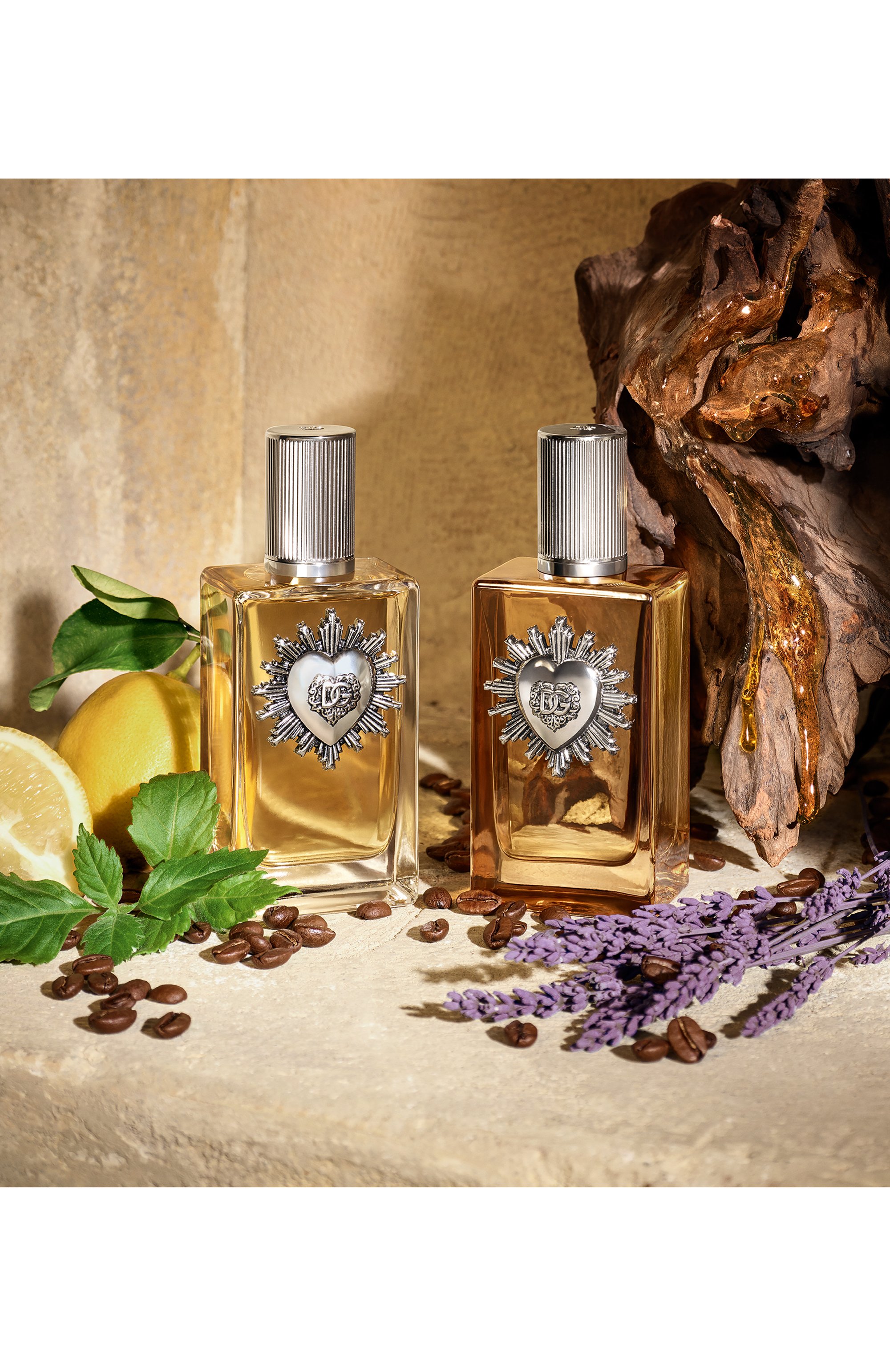 Духи devotion for men (100ml) DOLCE & GABBANA, арт. 8054754403138, фото 5