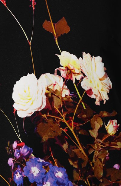 Платье-макси DRIES VAN NOTEN, арт. 192-11067-8406, фото 5