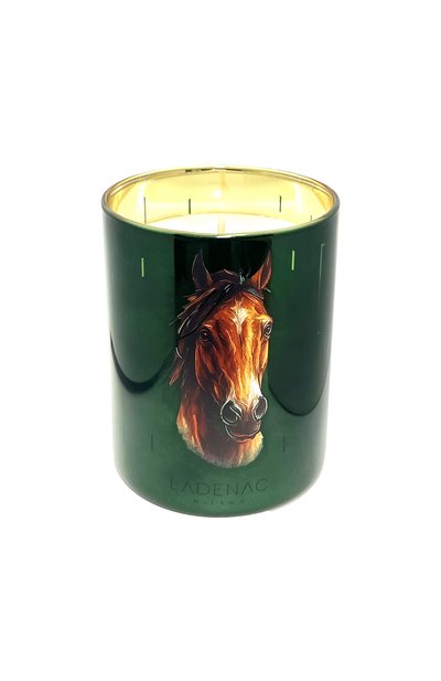 Свеча horse africa (350g) LADENAC MILANO, арт. 8411299012490