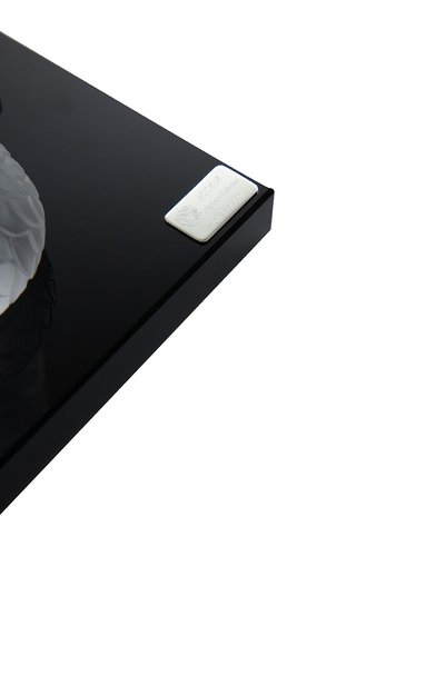 Скульптура танцующий дракон TSAR прозрачного цвета по цене 154000 руб., арт. 867001, фото 5 Скульптура танцующий дракон TSAR, арт. 867001, фото 5