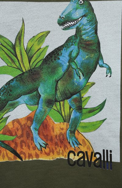 Хлопковый свитшот ROBERTO CAVALLI, арт. QJT924/CF050/04A-10A, фото 3