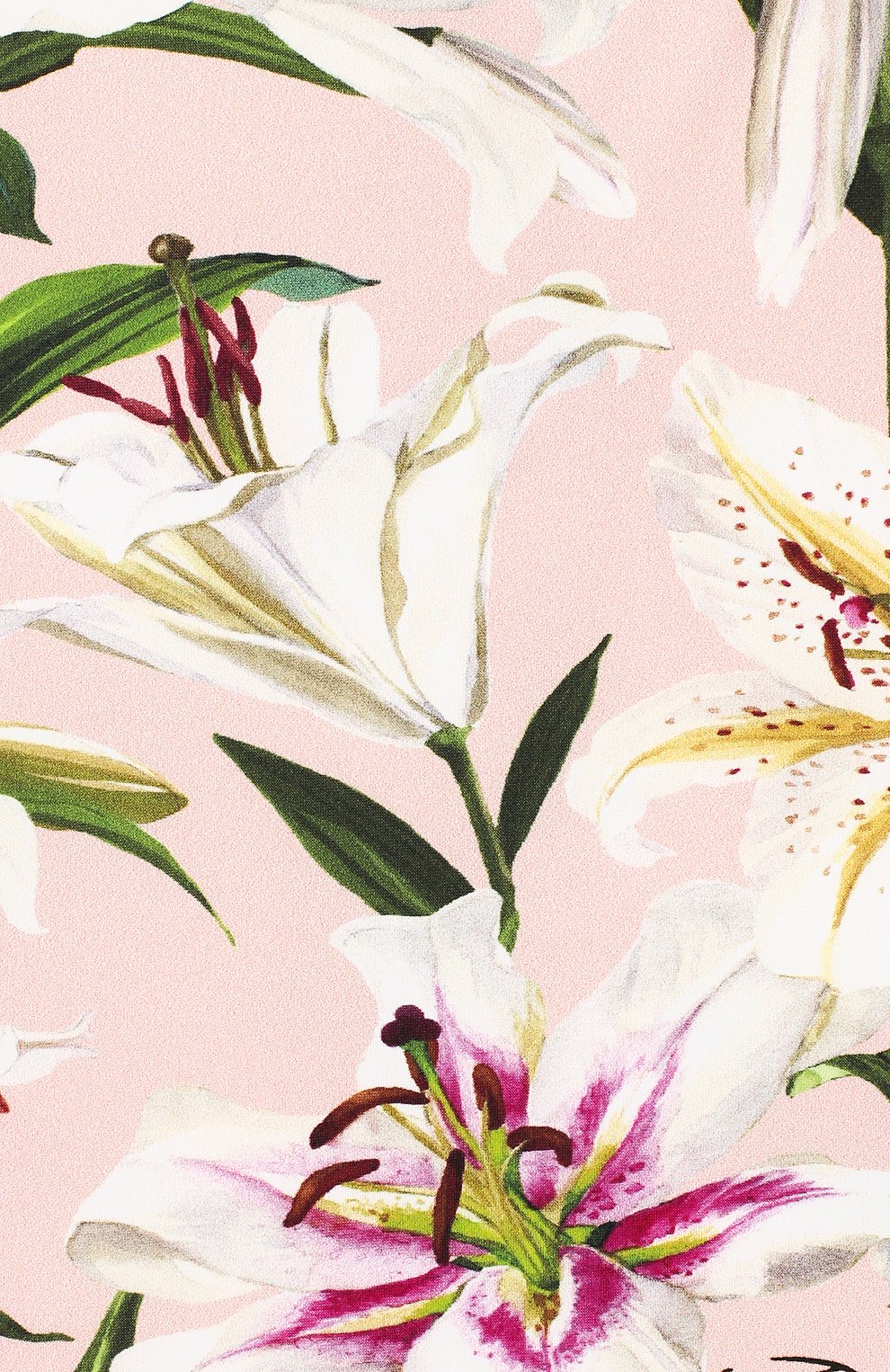 Слитный купальник DOLCE & GABBANA, арт. L2J803/FSGQR, фото 3