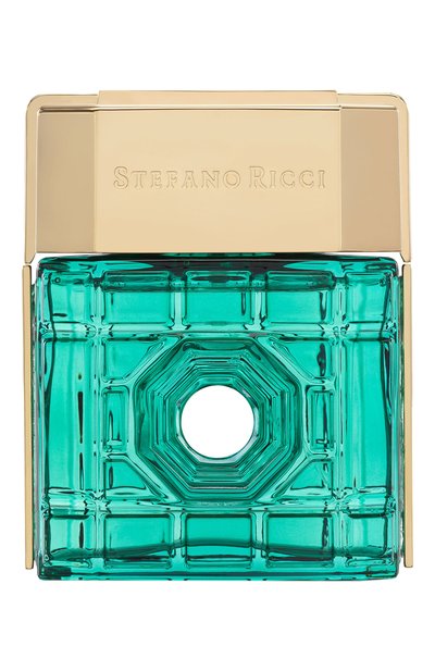 Мужской парфюмерная вода miami (100ml) STEFANO RICCI, арт. PM100CMIA