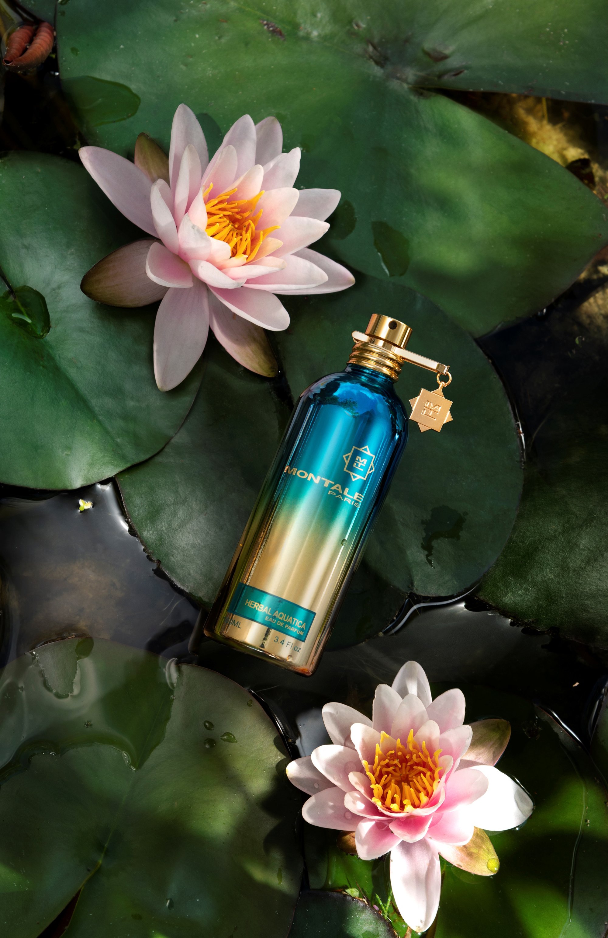 Парфюмерная вода herbal aquatica (100ml) MONTALE, арт. 3760260458542, фото 2