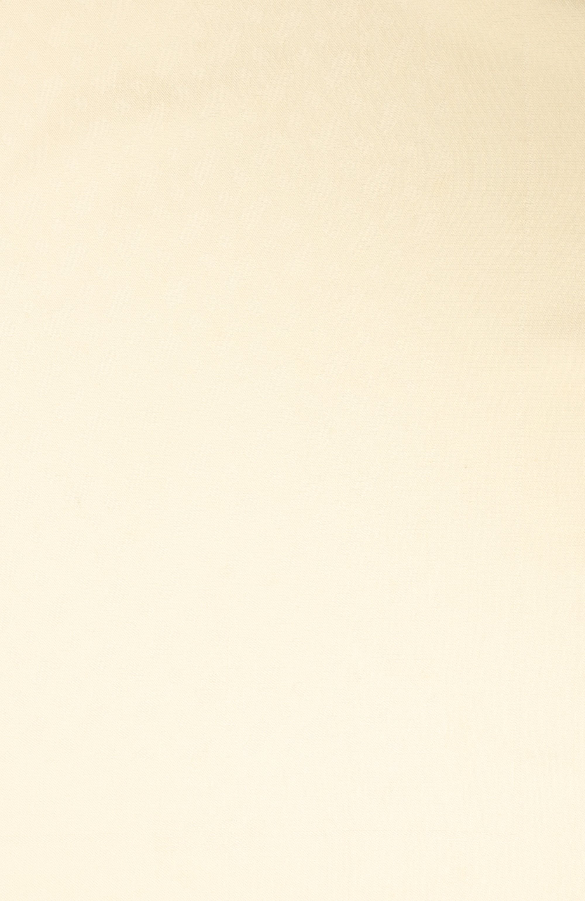 Шаль BOSS, арт. 50517733, фото 5