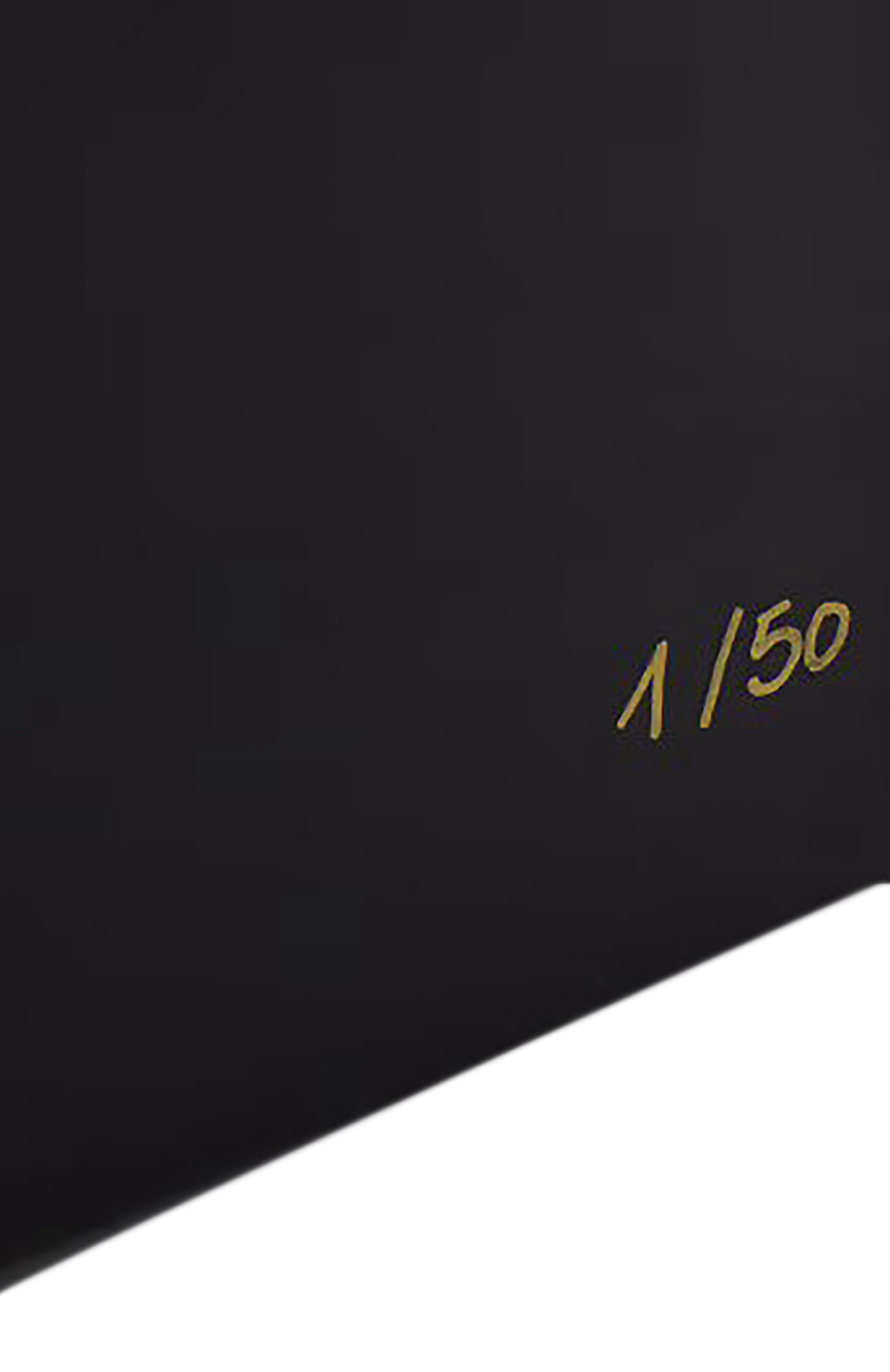 Хьюмидор pegasus BACCARAT, арт. 2 817 514, фото 5