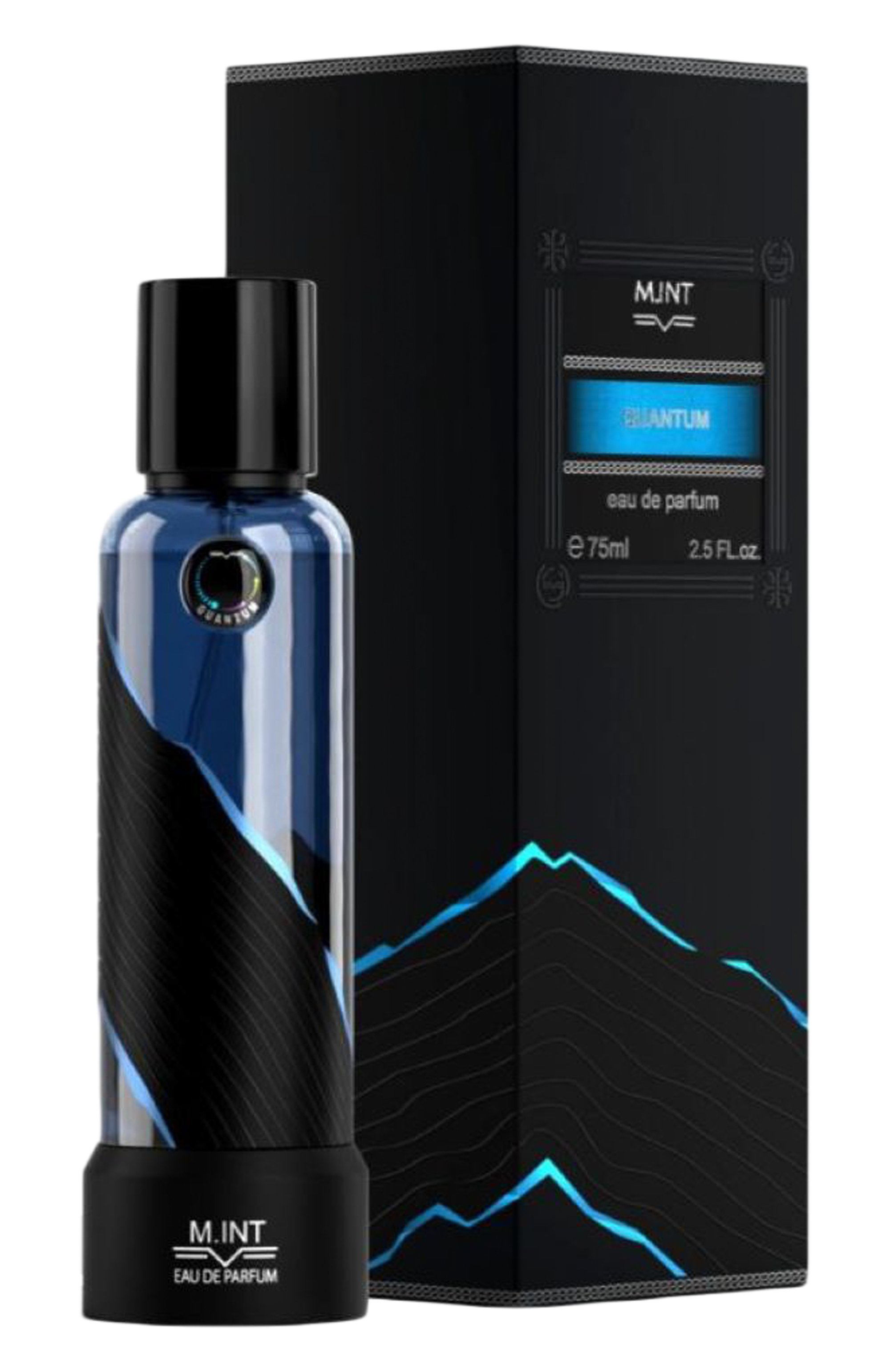 Парфюмерная вода quantum (75ml) M.INT, арт. 3760344210929, фото 3