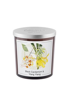 Свеча black cardamom & ylang ylang (350g) PERNICI бесцветного цвета, арт. 8001962088107 | Фото 1 (Региональные ограничения белый список (Axapta Mercury): Не проставлено; Нос: Не проставлено; Ограничения доставки: flammable)