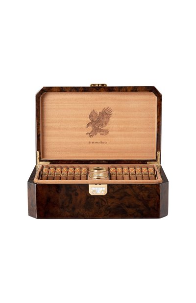 Настольный хьюмидор для 40 сигар STEFANO RICCI, арт. 0BSG34MP0/BRW001, фото 2