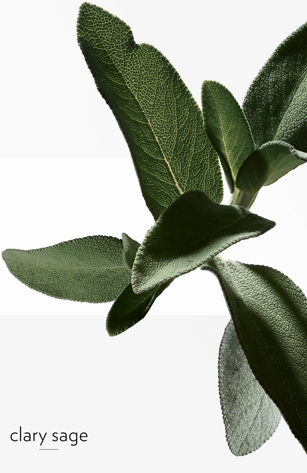 Туалетная вода h24 (50ml) HERMÈS, арт. 101563V0H, фото 5