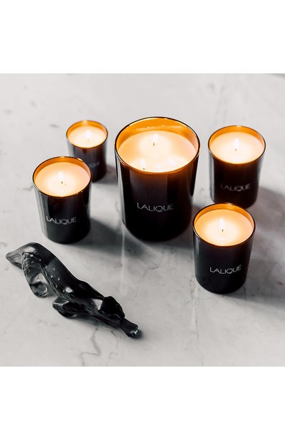 Свеча vetiver indonesia LALIQUE, арт. 10306200, фото 3