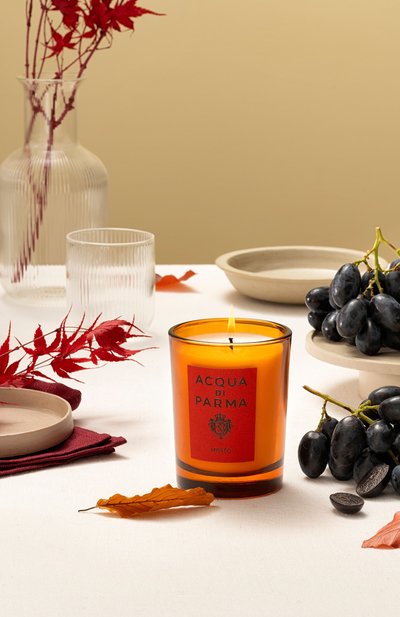 Парфюмированная свеча mosto (200g) ACQUA DI PARMA бесцветного цвета по цене 7500 руб., арт. ADP082737, фото 4 Парфюмированная свеча mosto (200g) ACQUA DI PARMA, арт. ADP082737, фото 4