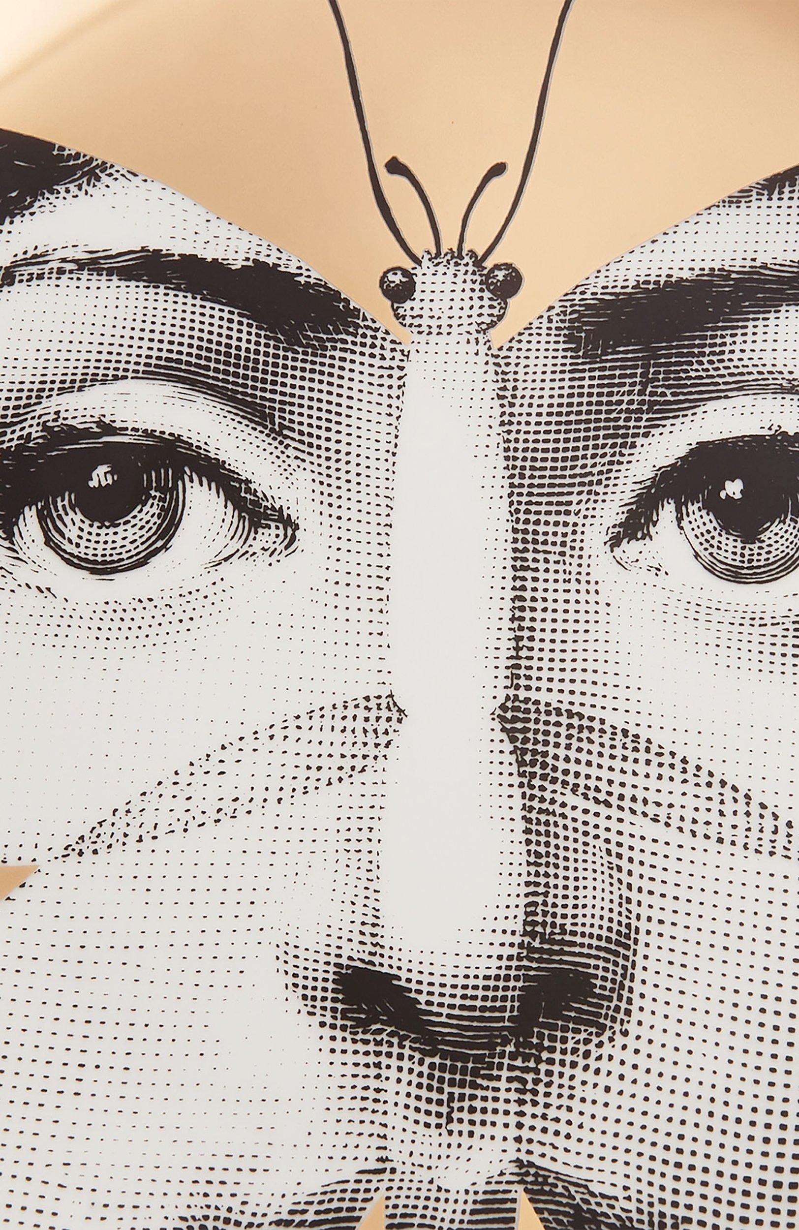Декоративная тарелка tema e variazioni n.96 FORNASETTI, арт. PTVZ096, фото 3