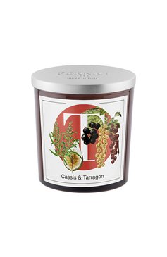 Свеча cassis & tarragon (350g) PERNICI бесцветного цвета, арт. 8001962085182 | Фото 1 (Региональные ограничения белый список (Axapta Mercury): Не проставлено; Нос: Не проставлено; Ограничения доставки: flammable)