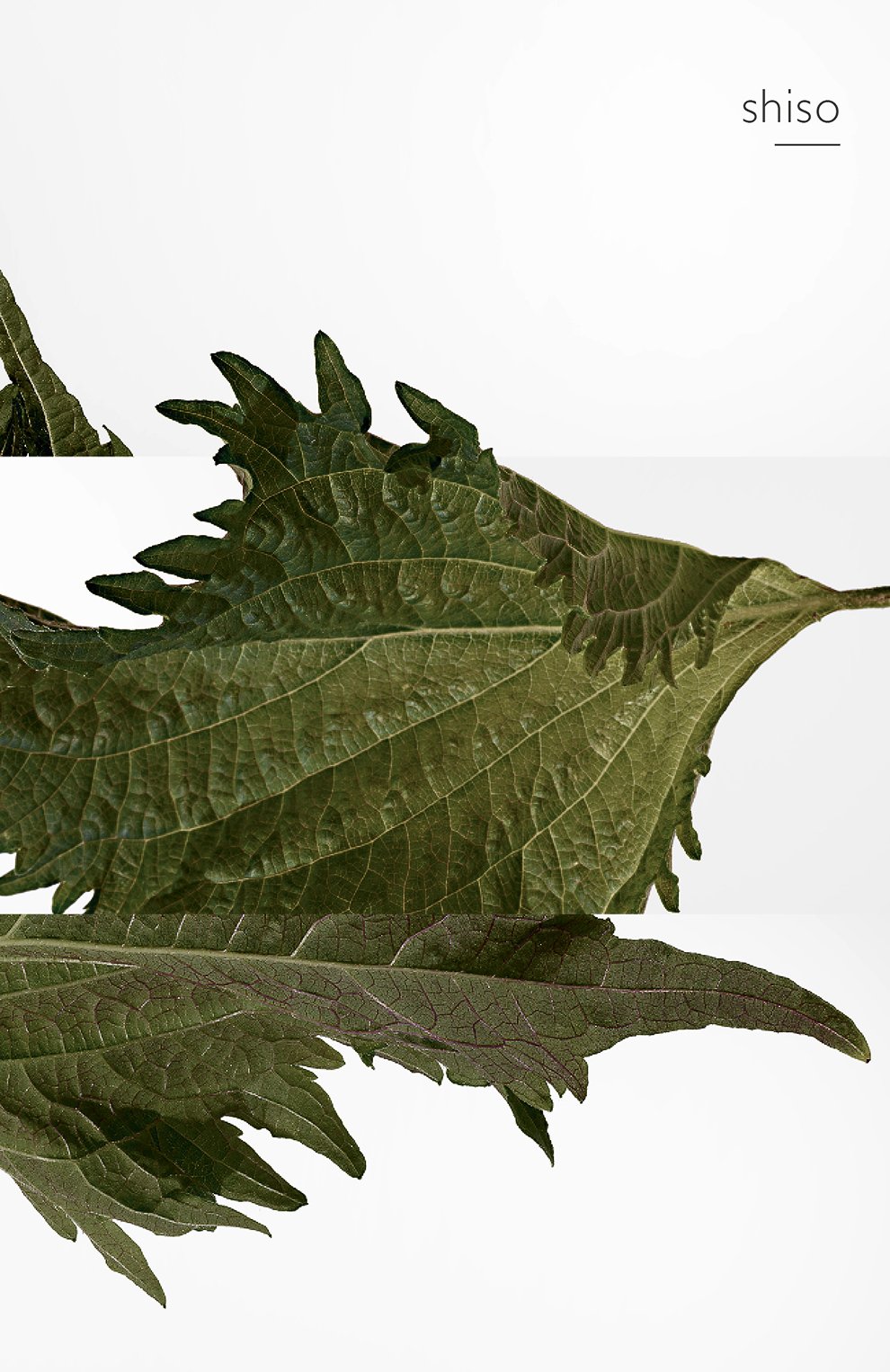 Духи terre d'hermès (75ml) HERMÈS, арт. 24578H, фото 7