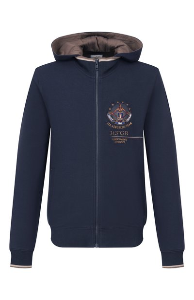 Мужской хлопковая толстовка AERONAUTICA MILITARE, арт. FE2131U/F00662