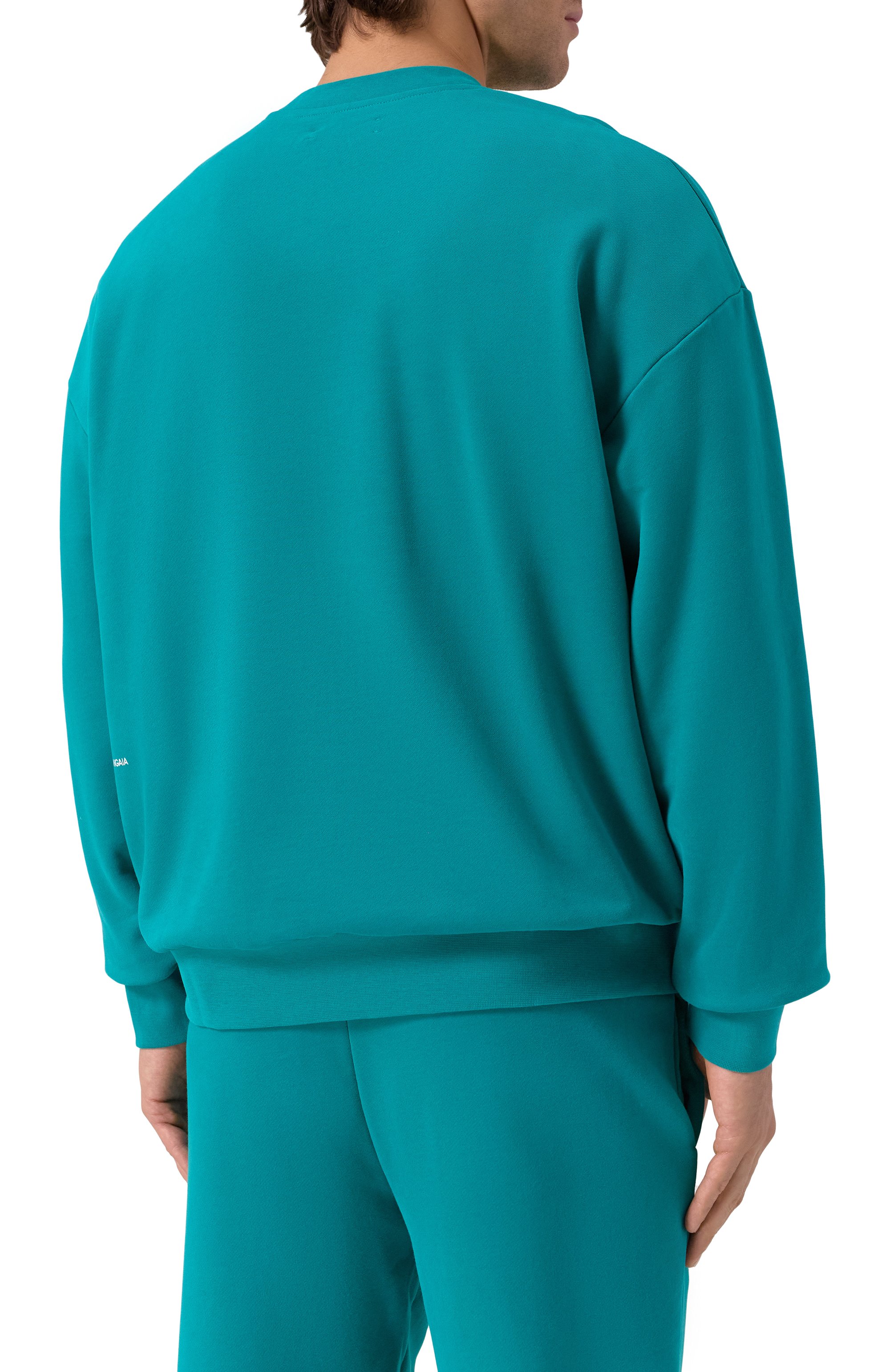 Хлопковый свитшот PANGAIA бирюзового цвета по цене 19500 руб., арт. 10000183, фото 4 Хлопковый свитшот PANGAIA, арт. 10000183, фото 4
