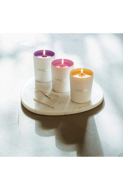 Свеча в стакане electric purple LALIQUE белого цвета по цене 12300 руб., арт. BFFB10181, фото 3 Свеча в стакане electric purple LALIQUE, арт. BFFB10181, фото 3