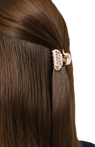 Заколка для волос ALEXANDRE DE PARIS, арт. ICCB-12831-06 Q10, фото 2