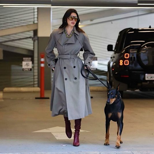 Эстетика повседневности: звезды и их питомцы